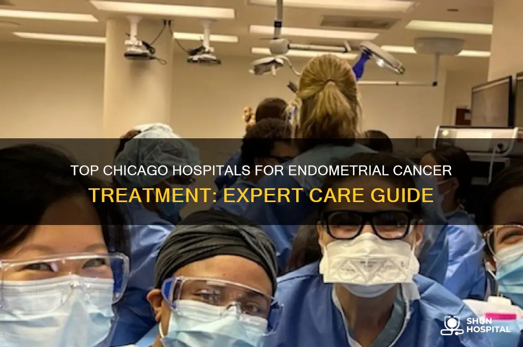 which hospital is best for endometrial cancer in chicago