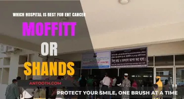 Moffitt vs. Shands: Which Hospital Excels in ENT Cancer Care?