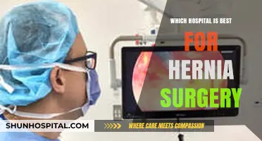 Top Hospitals for Hernia Surgery: Expert Care and Recovery Options