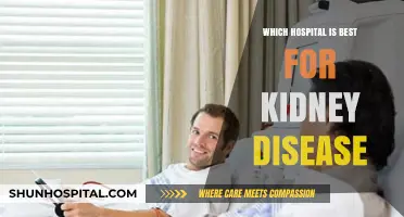 Top Hospitals for Kidney Disease: Expert Care and Treatment Options