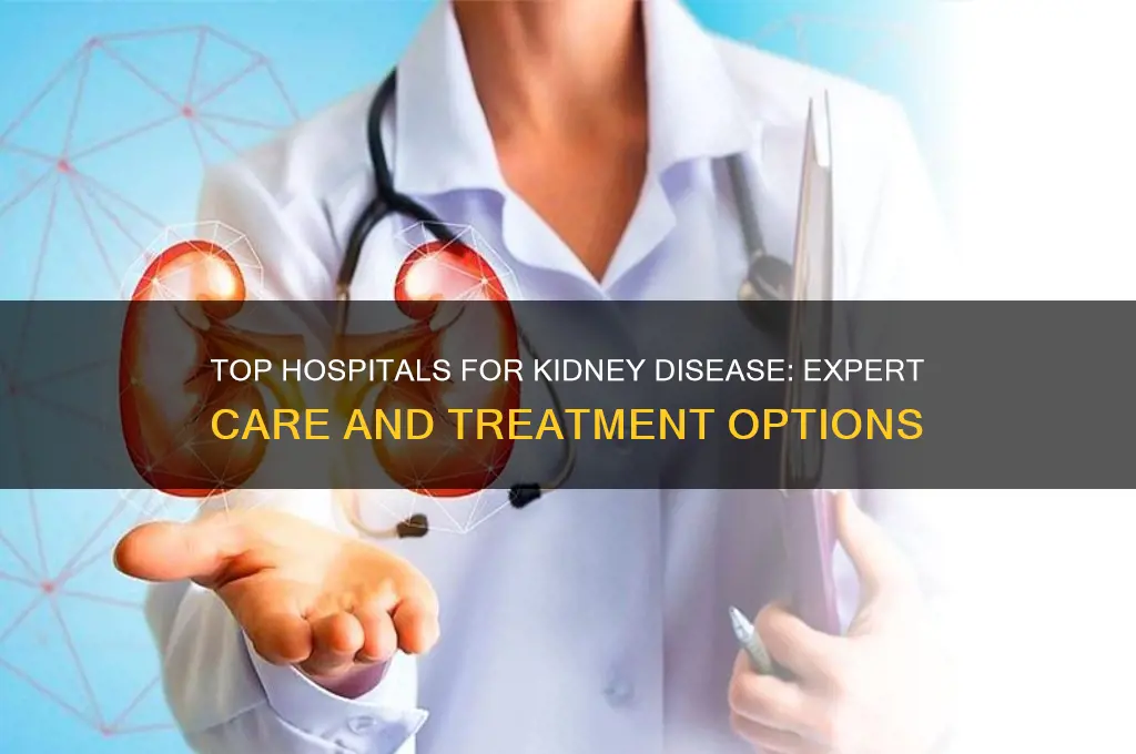 which hospital is best for kidney disease