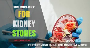 Top Hospitals for Kidney Stone Treatment: Expert Care and Advanced Options