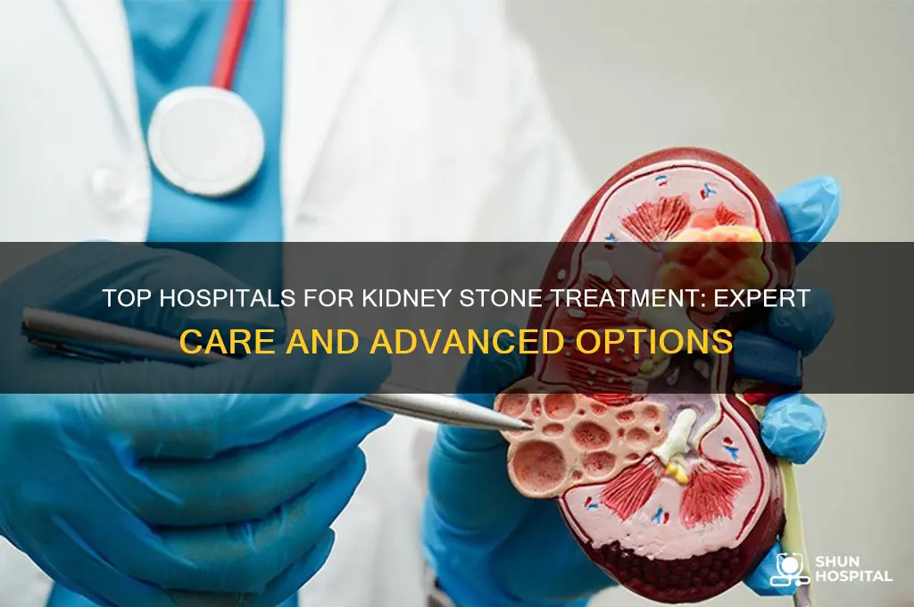 which hospital is best for kidney stones