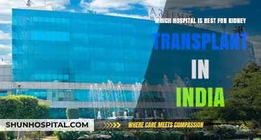 Top Kidney Transplant Hospitals in India: Expert Care & Success Rates