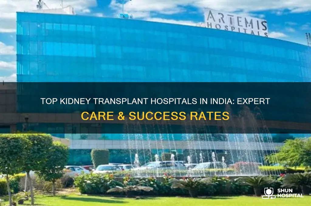 which hospital is best for kidney transplant in india