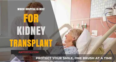 Top Hospitals for Kidney Transplants: Expert Care and Success Rates