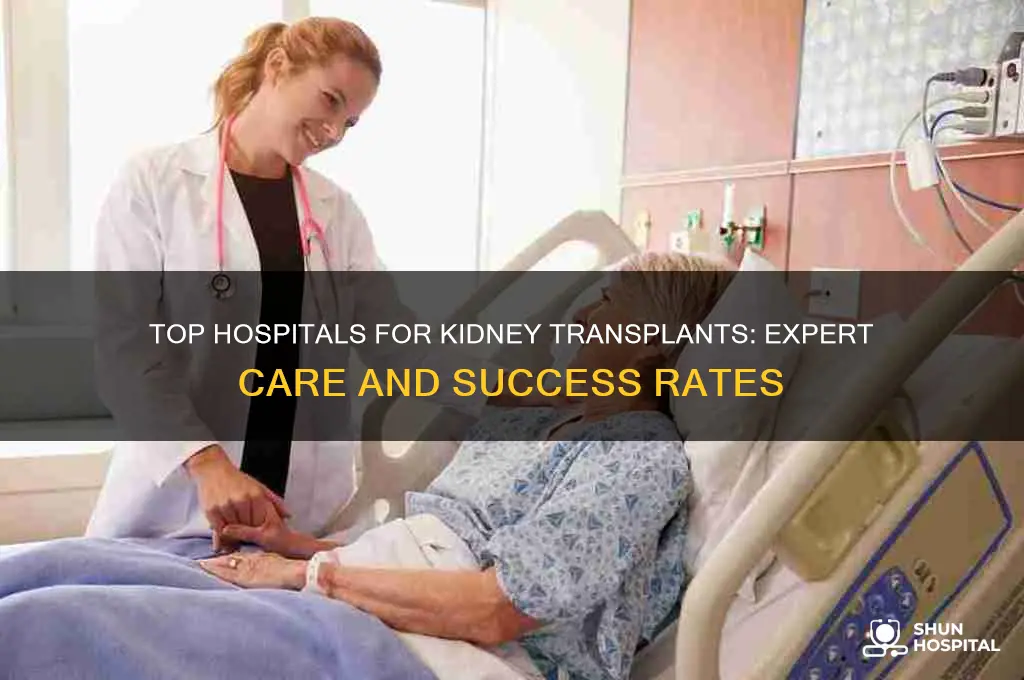 which hospital is best for kidney transplant