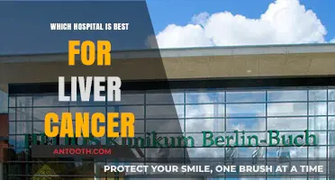 Top Hospitals for Liver Cancer Treatment: Expert Care and Outcomes