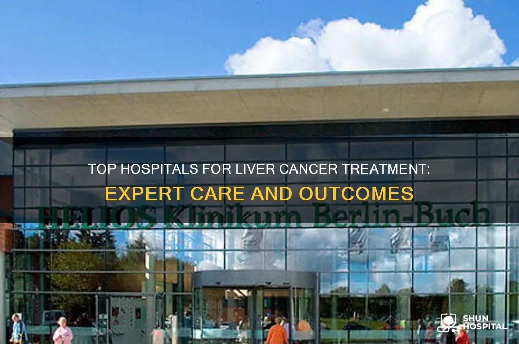 which hospital is best for liver cancer