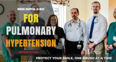 Top Hospitals for Pulmonary Hypertension Treatment: Expert Care Guide