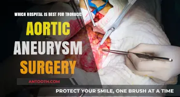 Top Hospitals for Thoracic Aortic Aneurysm Surgery: Expert Care Guide