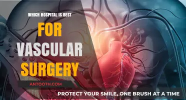 Top Vascular Surgery Hospitals: Expert Care and Patient Outcomes Compared