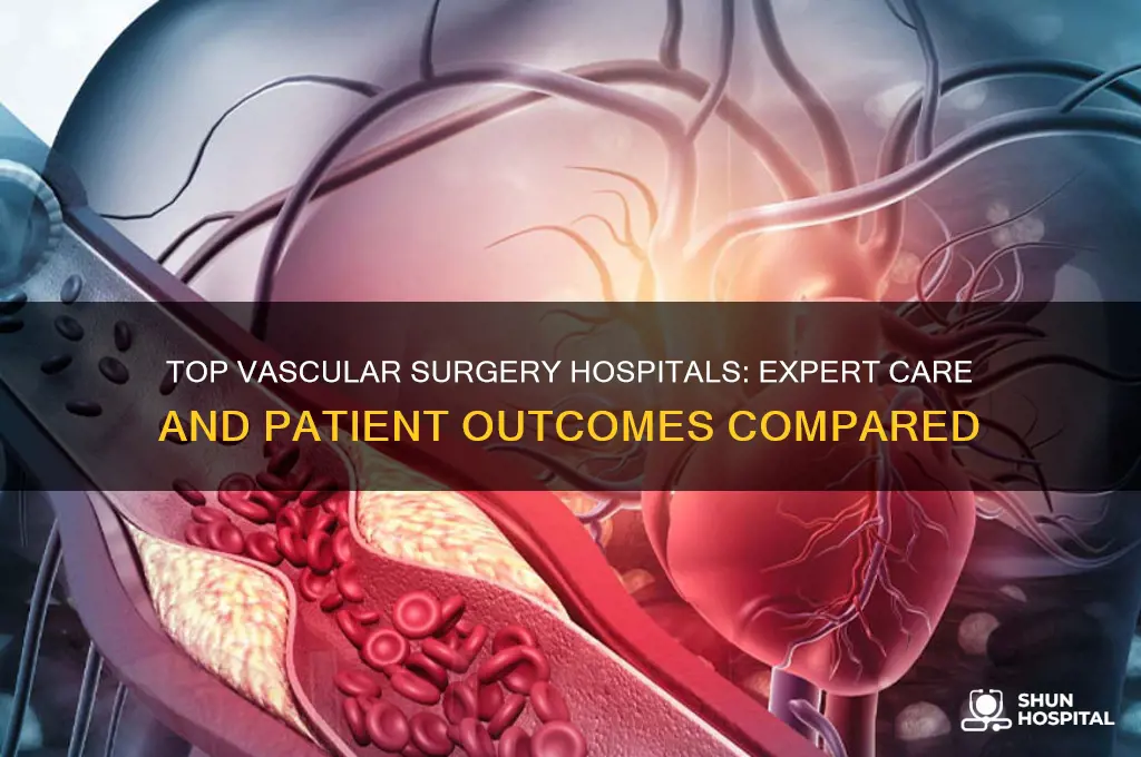 which hospital is best for vascular surgery