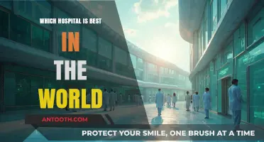 Top Global Hospitals: Ranking the World's Best Medical Facilities
