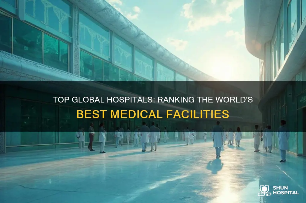 which hospital is best in the world