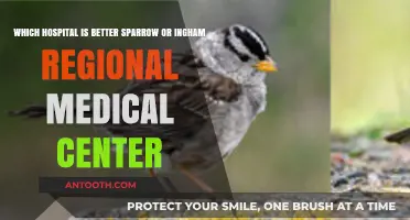 Sparrow vs. Ingham Regional: Comparing Care, Facilities, and Patient Experience
