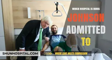 Boris Johnson Hospitalized: Which London Facility Admitted the Former PM?