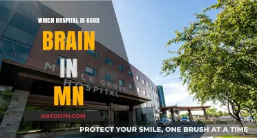 Top Minnesota Hospitals for Brain Care: Expertise and Excellence Compared