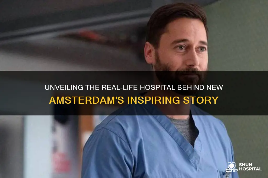which hospital is new amsterdam based on