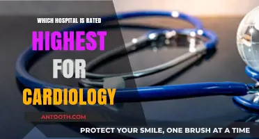 Top-Rated Hospitals for Cardiology: Expert Care and Patient Outcomes