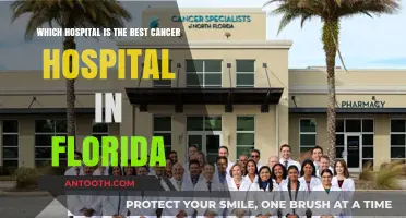 Top Florida Cancer Hospitals: Expert Care and Leading Treatments