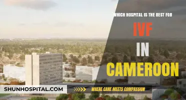 Top IVF Hospitals in Cameroon: Expert Care for Fertility Success