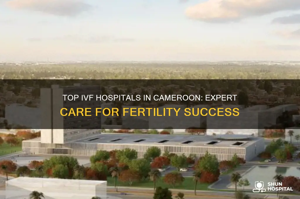 which hospital is the best for ivf in cameroon