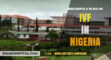Top IVF Hospitals in Nigeria: Expert Care for Fertility Success