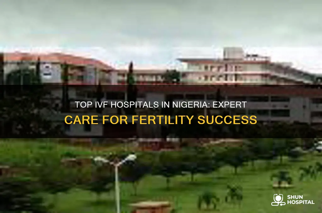 which hospital is the best for ivf in nigeria