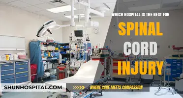 Top Hospitals for Spinal Cord Injury Treatment and Rehabilitation