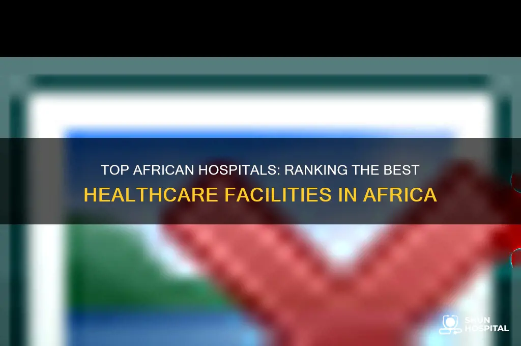 which hospital is the best in africa