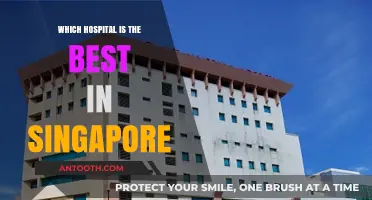 Top-Rated Hospitals in Singapore: A Comprehensive Guide to the Best