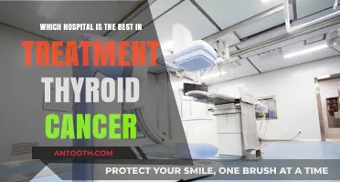 Top Hospitals for Thyroid Cancer Treatment: Expert Care and Outcomes