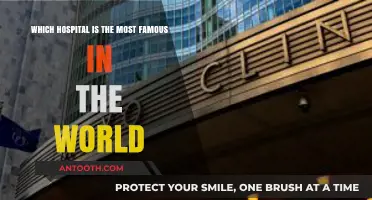 Exploring the World's Most Renowned and Iconic Hospital: A Global Overview