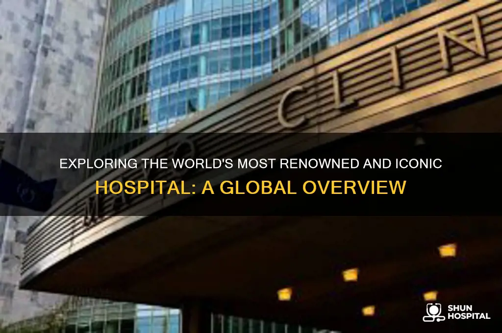 which hospital is the most famous in the world