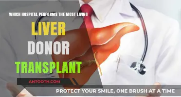 Leading Hospital for Living Liver Donor Transplants: Who Tops the List?