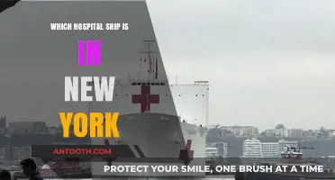 Discover the Hospital Ship Currently Docked in New York City