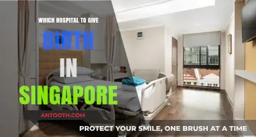 Choosing the Best Hospital for Childbirth in Singapore: A Guide