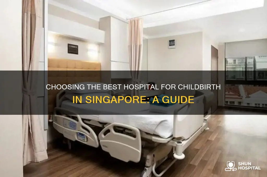 which hospital to give birth in singapore