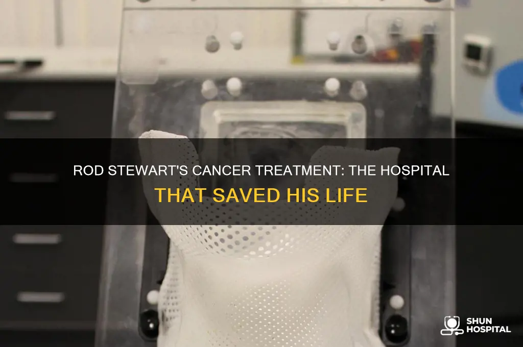 which hospital treated rod stewart when he had cancer