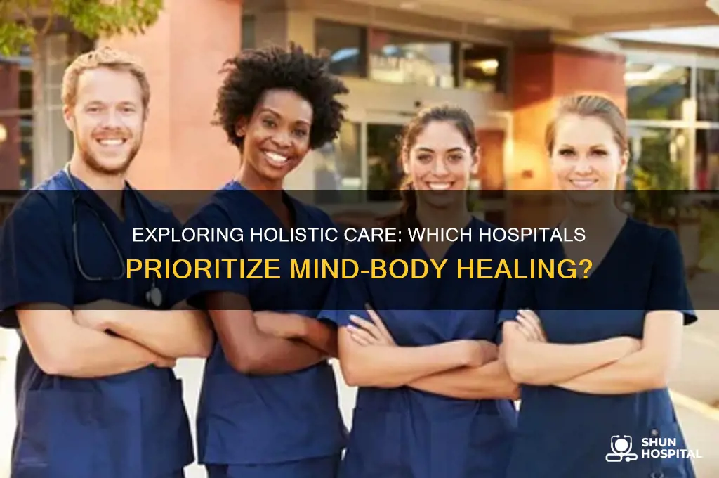which hospital type is likely to emphasize holistic medicine