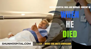 Jan-Michael Vincent's Final Days: The Hospital Where He Passed Away