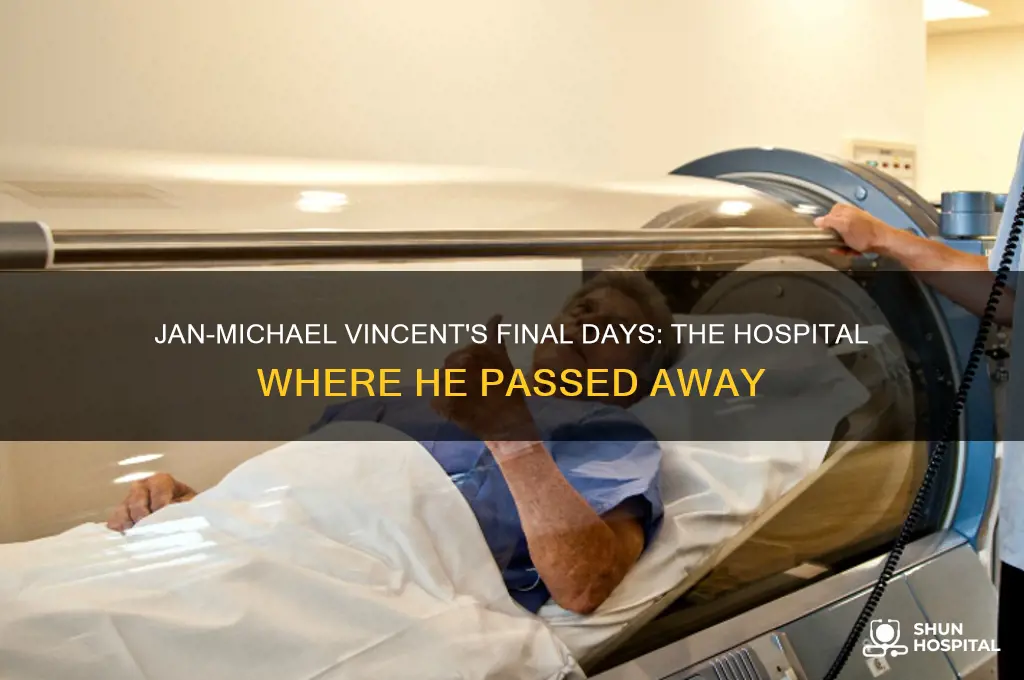 which hospital was jan michael vincent in when he died
