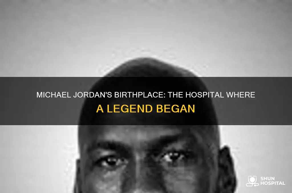 which hospital was michael jordan born in
