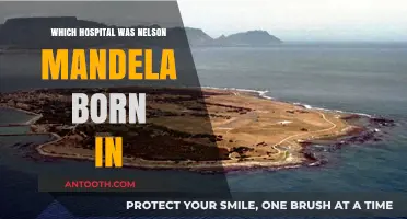 Where Was Nelson Mandela Born? Uncovering His Birth Hospital