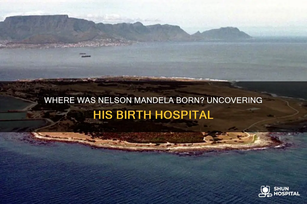 which hospital was nelson mandela born in