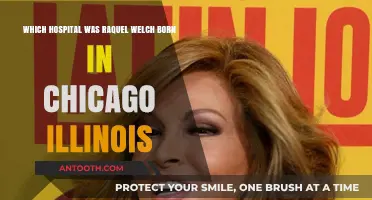 Raquel Welch's Birthplace: The Chicago Hospital Where She Was Born