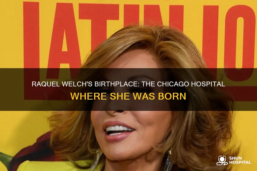 which hospital was raquel welch born in chicago illinois