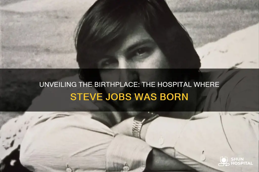 which hospital was steve jobs born in
