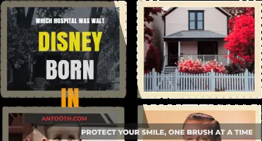 Where Was Walt Disney Born? The Hospital Revealed
